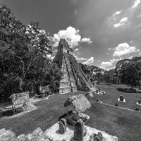 Tour a Tikal (un día)
