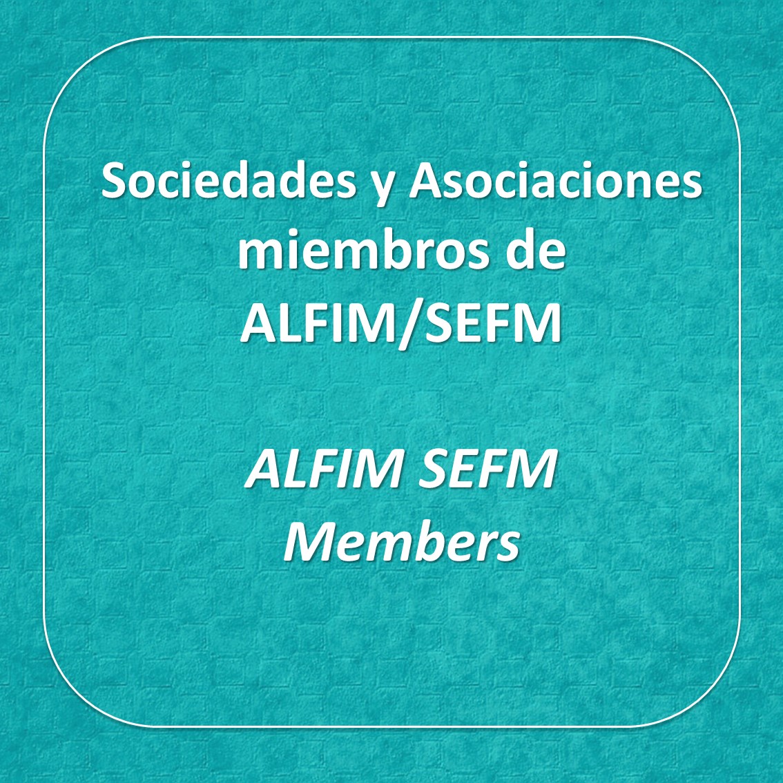 Sociedades ALFIM y SEFM | ALFIM & SEFM Members